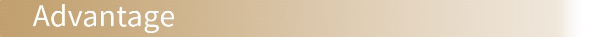 SeparatorTitle_Advantage